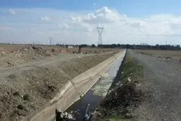 کانال جسد در جنوب تهران را قاتلان می شناسند؟! مردم از دیدن اجساد وحشت دارند + فیلم
