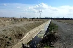 کانال جسد در جنوب تهران را قاتلان می شناسند؟! مردم از دیدن اجساد وحشت دارند + فیلم