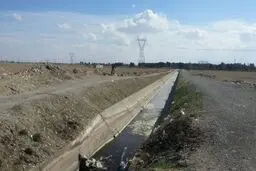 کانال جسد در جنوب تهران را قاتلان می شناسند؟! مردم از دیدن اجساد وحشت دارند + فیلم