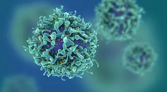 فرمول خوراکی برای نابودی سلول‌های بنیادی سرطان