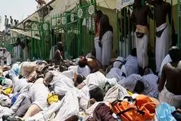 ناگفته‌های سرپرست دادسرای جنایی درباره شناسایی اجساد شهدای فاجعه منا