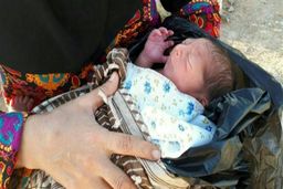 «آراد» چگونه آزاد شد؟