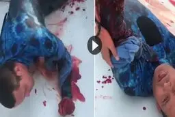 لحظه دلهره آور نجات غواص زخمی پس از حمله مرگبار کوسه + فیلم