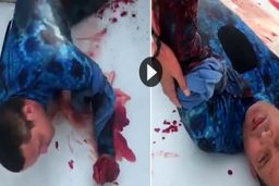 لحظه دلهره آور نجات غواص زخمی پس از حمله مرگبار کوسه + فیلم