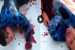 لحظه دلهره آور نجات غواص زخمی پس از حمله مرگبار کوسه + فیلم