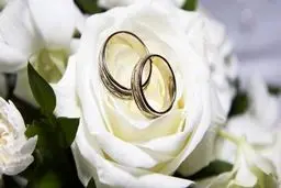 نماینده مجلس: دلیل ازدواج‌های صوری فشل بودن سیستم بانکی است