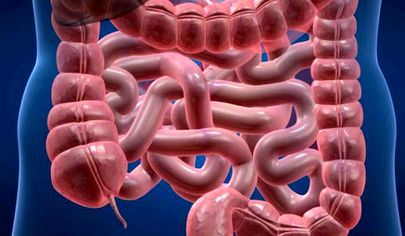 تاثیر عملکرد روده‌ها بر سلامت بدن