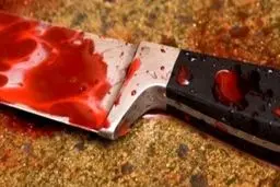 راز جنایت شبانه در هاله‌ای از ابهام