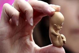 آمار تکان‌دهنده درباره سقط‌جنین در ایران