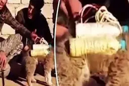 حیوانات انتحاری؛ شیوه جدید داعش برای عملیات +عکس