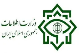 کارشناسان ضدجاسوسی وزارت اطلاعات چه گفتند؟