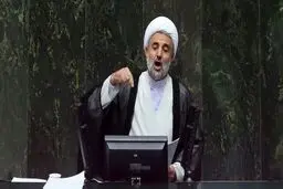 ذوالنور: صدرالساداتی‌ها بازداشت نشده بودند / ذغال برای قلیان در قم خریدند