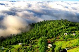 مهمانانی که به راحتی صاحبخانه می‌شوند