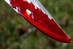 قتل هولناک مرد اردبیلی در مقابل دانشگاه