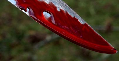 قتل هولناک مرد اردبیلی در مقابل دانشگاه