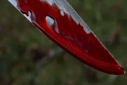 قتل هولناک مرد اردبیلی در مقابل دانشگاه