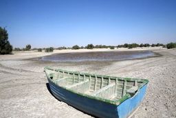 هامونی‌ها در انتظار یک قطره آب