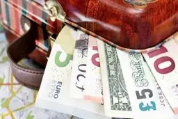 حاج قربانعلی فرخزاد با پنچ کلاس سواد و ۴۴۶ میلیون دلار ارز دولتی!