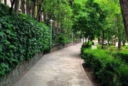 ابتکار شهرداری برای حمایت از حیوانات شهری + عکس