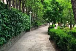 ابتکار شهرداری برای حمایت از حیوانات شهری + عکس