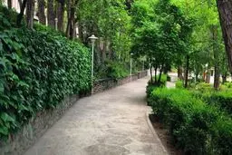 ابتکار شهرداری برای حمایت از حیوانات شهری + عکس