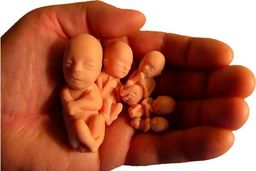 چرا رتبه نخست سقط درمانی در کشور به خراسان رضوی تعلق دارد؟