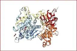 مولکول خاصی که به مقابله باتکامل سرطان می پردازد.