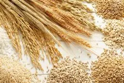 یک میلیون تن شن پشت ماجرای سبوس