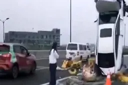 تصادف عجیب راننده زن همه را شوکه کرد + فیلم