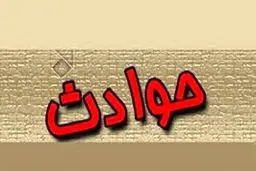 دستگیری مردی که از میان شمشادها به دختران حمله کرد و آنها را آزار داد/یکی از دخترها او را با چاقوی خودش زخمی کرد