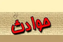 دستگیری مردی که از میان شمشادها به دختران حمله کرد و آنها را آزار داد/یکی از دخترها او را با چاقوی خودش زخمی کرد