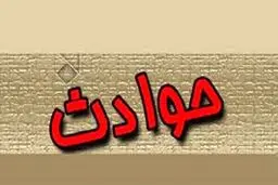 دستگیری مردی که از میان شمشادها به دختران حمله کرد و آنها را آزار داد/یکی از دخترها او را با چاقوی خودش زخمی کرد