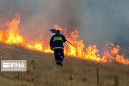 آتس سوزی در سالندکوه دزفول مهار شد