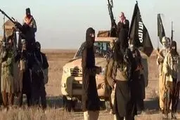 ۱۱ فرمانده ارشد داعش کشته شدند