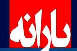 جزئیات تازه از حذف یارانه‌/ اعتراض به حذف کمتر از ۱۰ درصد/پیش‌بینی ۷ هزار میلیارد تومان صرفه‌جویی