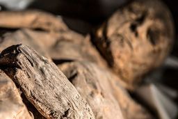 کودکی که زنده زنده دفن شد