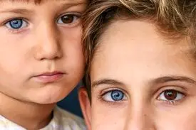 چشمان خیره کننده دو برادر + عکس