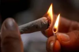 افتتاح اولین کافه رستوران ویژه مصرف مواد مخدر! + تصاویر