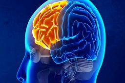 ۵ عادت مخرب برای مغز!