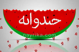 کمدین محبوب خندوانه در موکب اربعین+عکس