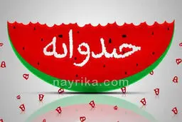 کمدین محبوب خندوانه در موکب اربعین+عکس