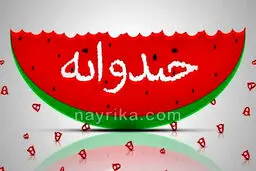 کمدین محبوب خندوانه در موکب اربعین+عکس