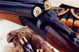 قتل مشکوک عروس ۲۸ ساله و دختر ۱۸ ساله با گلوله