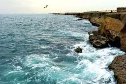 عکس / حادثه ای عجیب در خلیج فارس / ظهر امروز رخ داد
