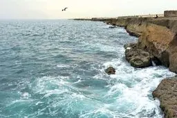 عکس / حادثه ای عجیب در خلیج فارس / ظهر امروز رخ داد