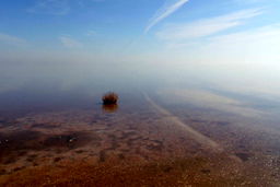 بودجه ۲۰۰ میلیاردی دولت برای دریاچه ارومیه کجا هزینه می‌شود؟