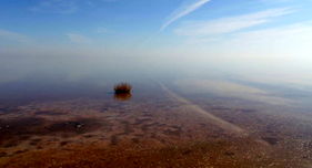 بودجه ۲۰۰ میلیاردی دولت برای دریاچه ارومیه کجا هزینه می‌شود؟