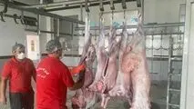 خبر بد برای بازار گوشت /توقف عرضه کنجاله سویا در سامانه بازارگاه