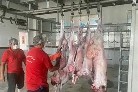 خبر بد برای بازار گوشت /توقف عرضه کنجاله سویا در سامانه بازارگاه