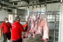 خبر بد برای بازار گوشت /توقف عرضه کنجاله سویا در سامانه بازارگاه